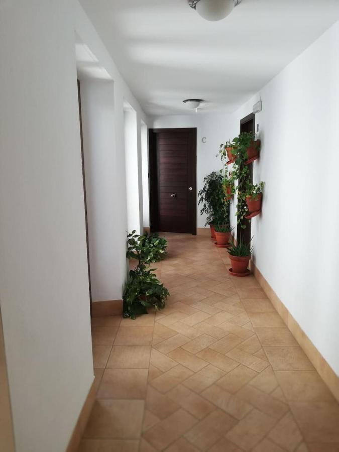 Estudio San Pedro-Corredera Cordoba Dış mekan fotoğraf
